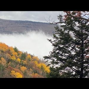 Meet your Posher, Tim